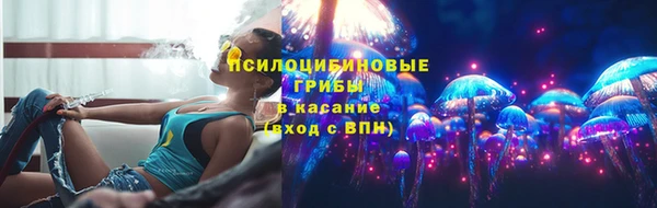 ПСИЛОЦИБИНОВЫЕ ГРИБЫ Бугульма